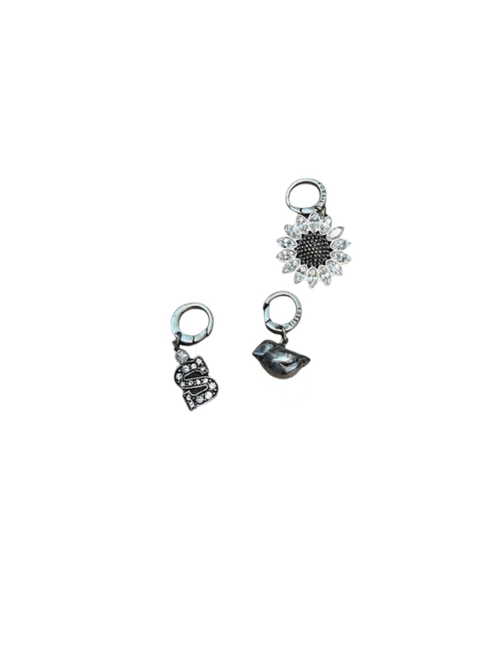 Fossil Charms